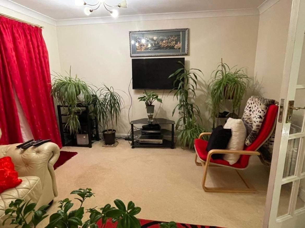 Cozy Homestay Croydon Eksteriør bilde