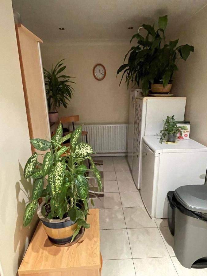 Cozy Homestay Croydon Eksteriør bilde